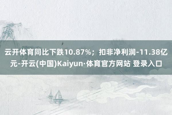 云开体育同比下跌10.87%；扣非净利润-11.38亿元-开云(中国)Kaiyun·体育官方网站 登录入口