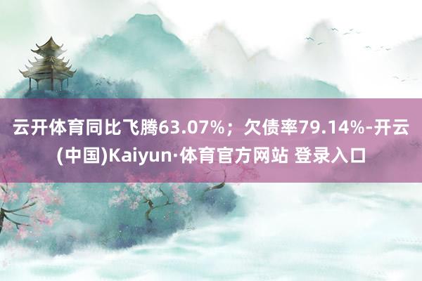 云开体育同比飞腾63.07%；欠债率79.14%-开云(中国)Kaiyun·体育官方网站 登录入口