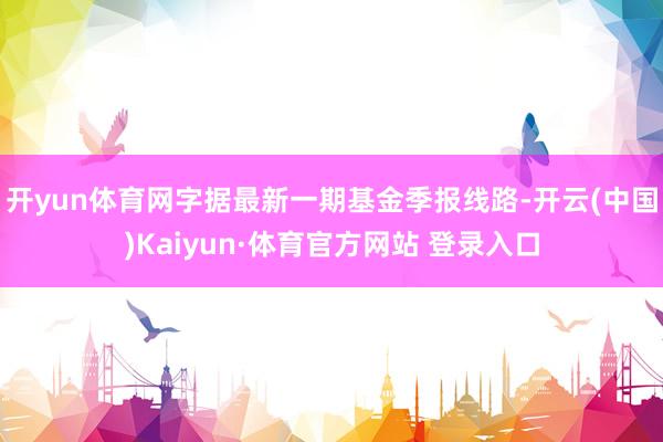 开yun体育网字据最新一期基金季报线路-开云(中国)Kaiyun·体育官方网站 登录入口