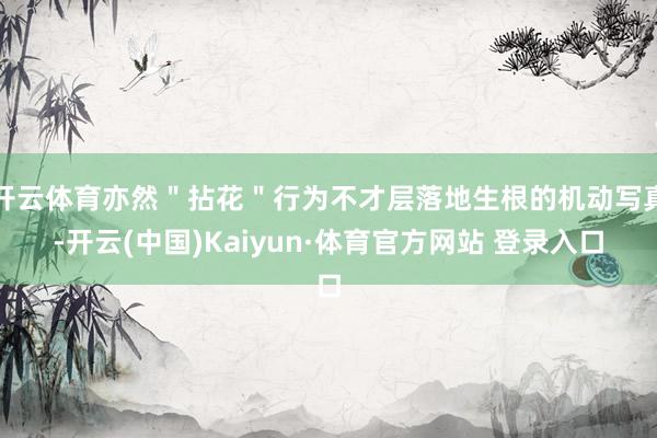 开云体育亦然＂拈花＂行为不才层落地生根的机动写真-开云(中国)Kaiyun·体育官方网站 登录入口