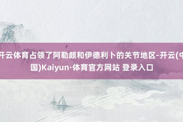 开云体育占领了阿勒颇和伊德利卜的关节地区-开云(中国)Kaiyun·体育官方网站 登录入口