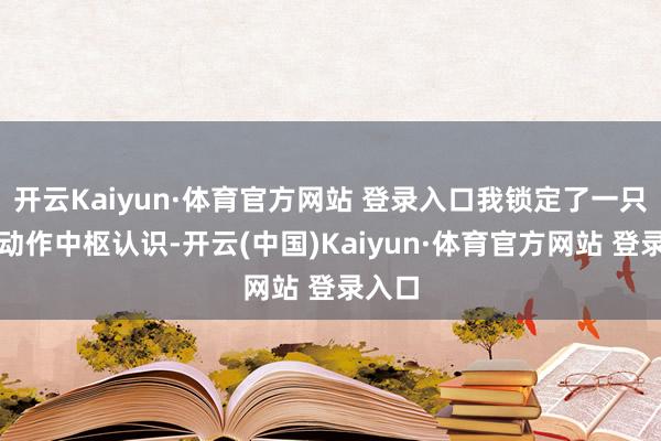 开云Kaiyun·体育官方网站 登录入口我锁定了一只股票动作中枢认识-开云(中国)Kaiyun·体育官方网站 登录入口