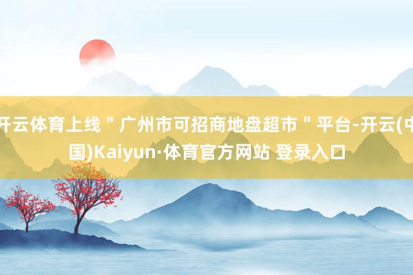 开云体育上线＂广州市可招商地盘超市＂平台-开云(中国)Kaiyun·体育官方网站 登录入口